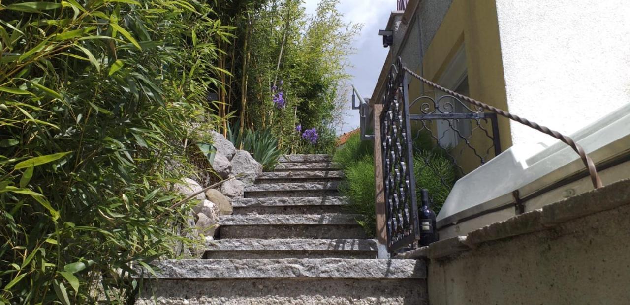 Ferienwohnung Wiesmuehlstrasse Henndorf am Wallersee Eksteriør bilde