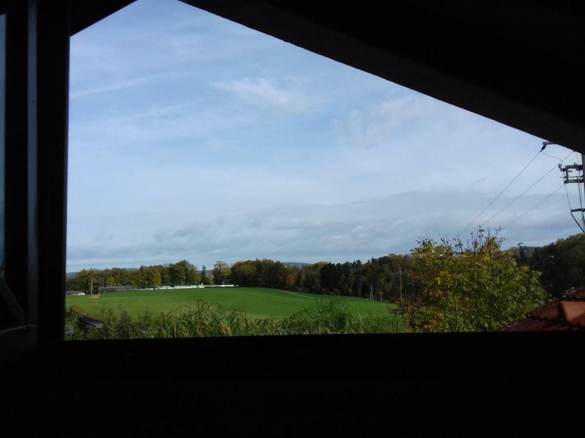 Ferienwohnung Wiesmuehlstrasse Henndorf am Wallersee Eksteriør bilde