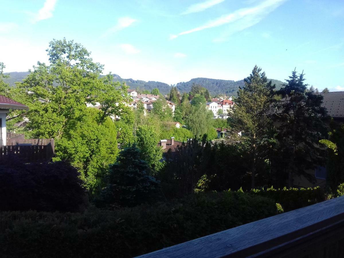 Ferienwohnung Wiesmuehlstrasse Henndorf am Wallersee Eksteriør bilde